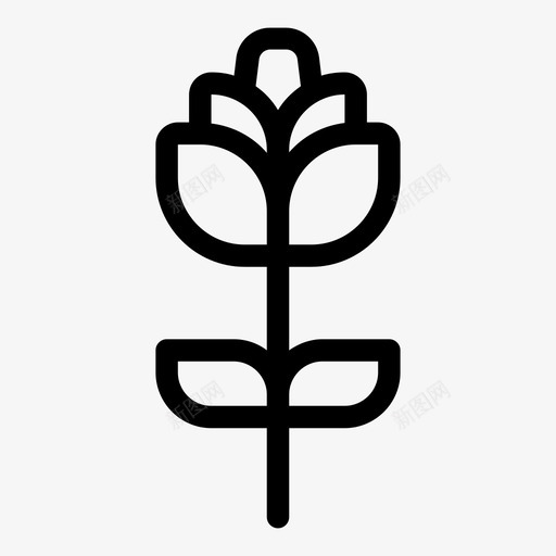 玫瑰花朵植物svg_新图网 https://ixintu.com 花朵 玫瑰 玫瑰花 植物 花瓣 妇女节