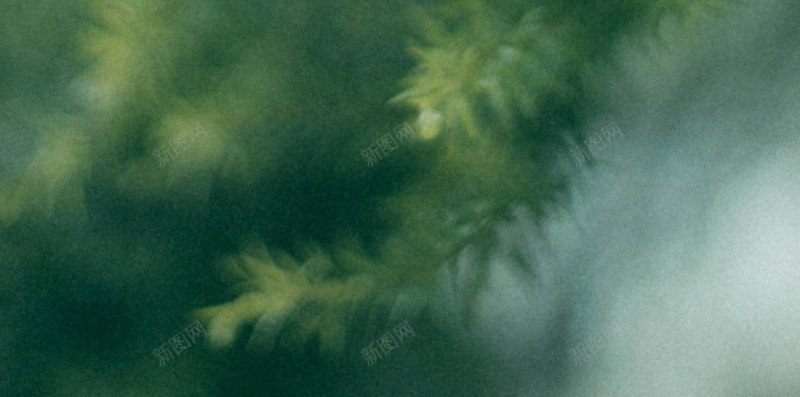 草素材可用背景jpg设计背景_新图网 https://ixintu.com 素材 可用 背景