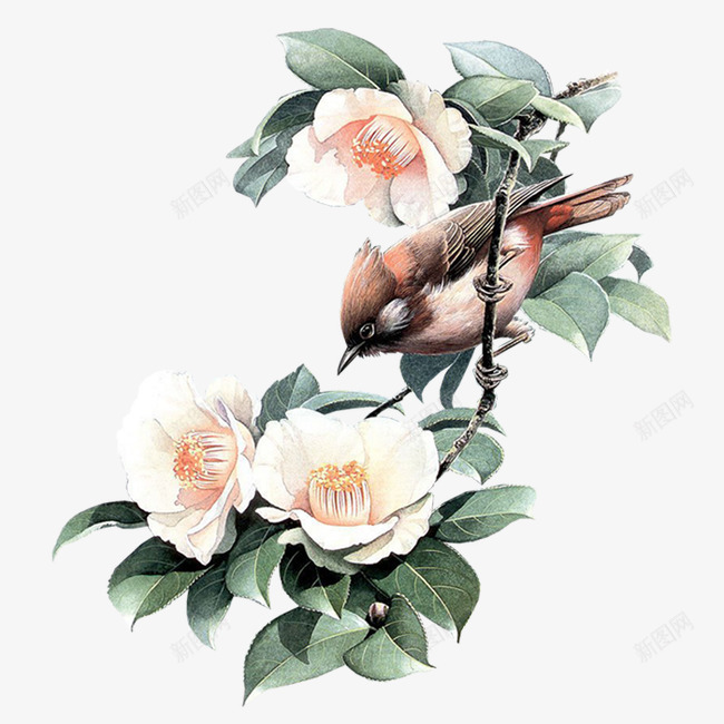flower31PNG图png免抠素材_新图网 https://ixintu.com