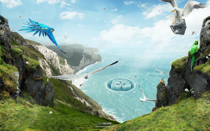 鸟 水悬崖海报背景jpg设计背景_新图网 https://ixintu.com 鸟水 悬崖 海报 背景