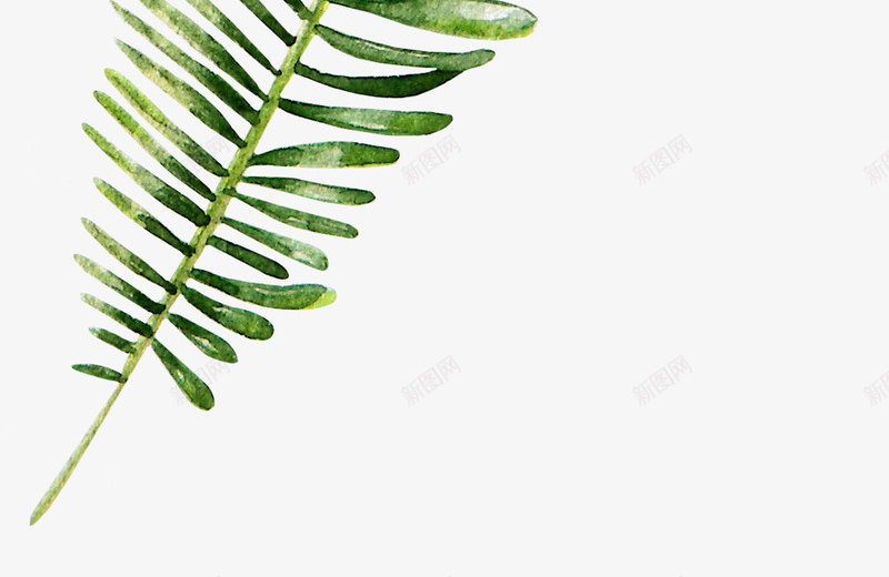 树叶透明素材png免抠素材_新图网 https://ixintu.com 树叶 透明 素材