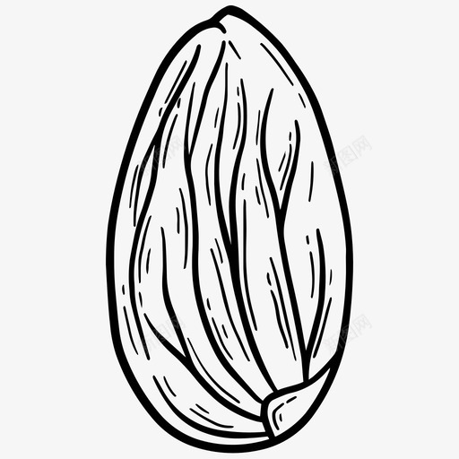 杏仁食物坚果svg_新图网 https://ixintu.com 坚果 杏仁 食物 蛋白质