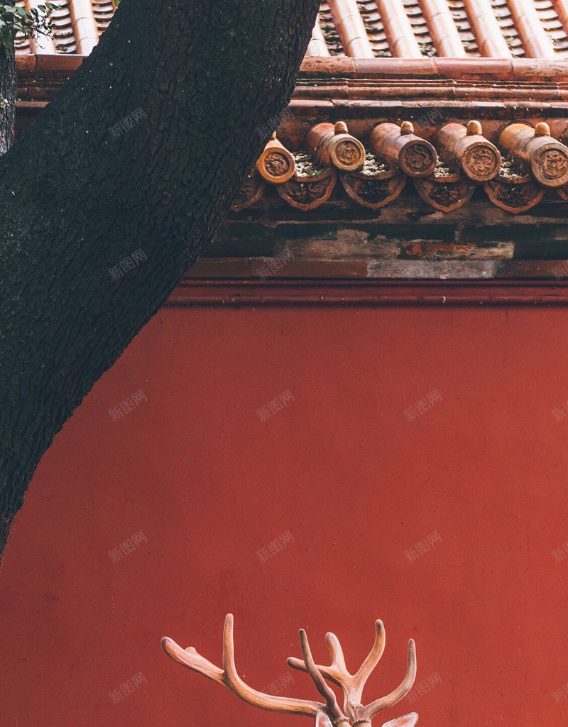 故宫萌宠背景jpg设计背景_新图网 https://ixintu.com 故宫 萌宠 背景