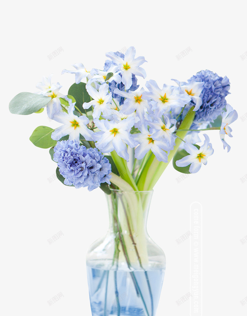 鲜花插花瓶素材png免抠素材_新图网 https://ixintu.com 素材 花插 花插图 花瓶 鲜花