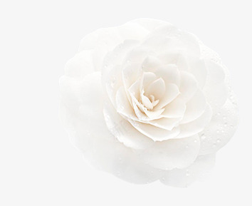 微保湿的润泽能量 CHANEL Official site素材png免抠素材_新图网 https://ixintu.com 微保 湿的 润泽 能量 素材