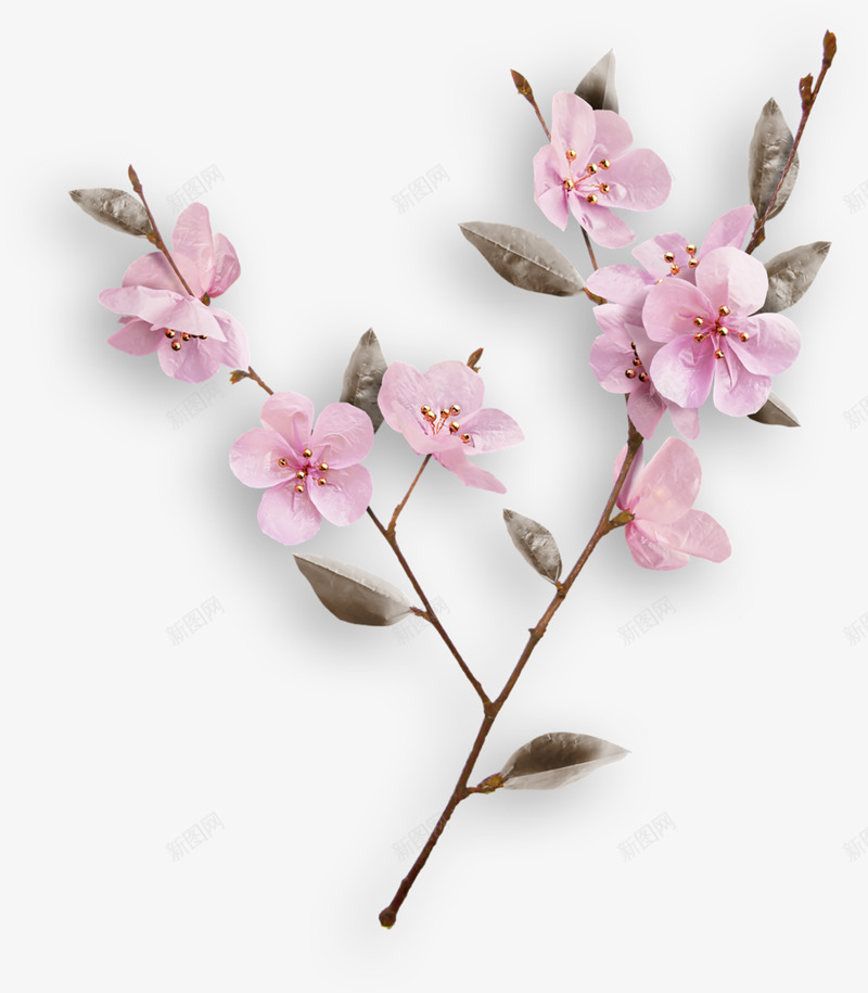 VCChocolateSmellEl24Shadow Cadi 1986 花草png免抠素材_新图网 https://ixintu.com 花草