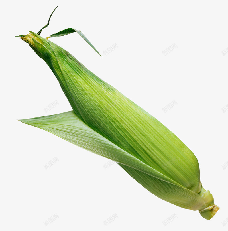 玉米 玉米 剥玉米 蔬菜 食物 美食 透明png果蔬素材png免抠素材_新图网 https://ixintu.com 果蔬 玉米 素材 美食 蔬菜 透明 食物