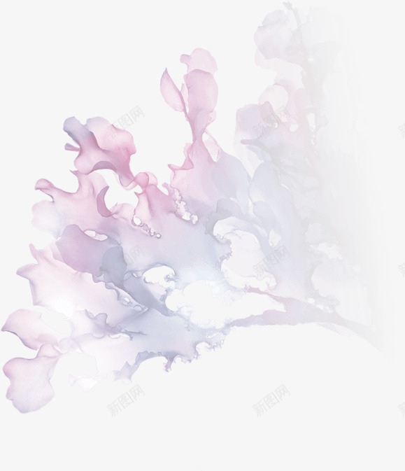 seaweed1 579673PNGpng免抠素材_新图网 https://ixintu.com
