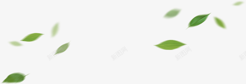 绿色 树叶 清新 免扣 装饰 png透明素材免扣悬浮jpg小素材png免抠素材_新图网 https://ixintu.com 素材 免扣 绿色 树叶 清新 装饰 透明 悬浮