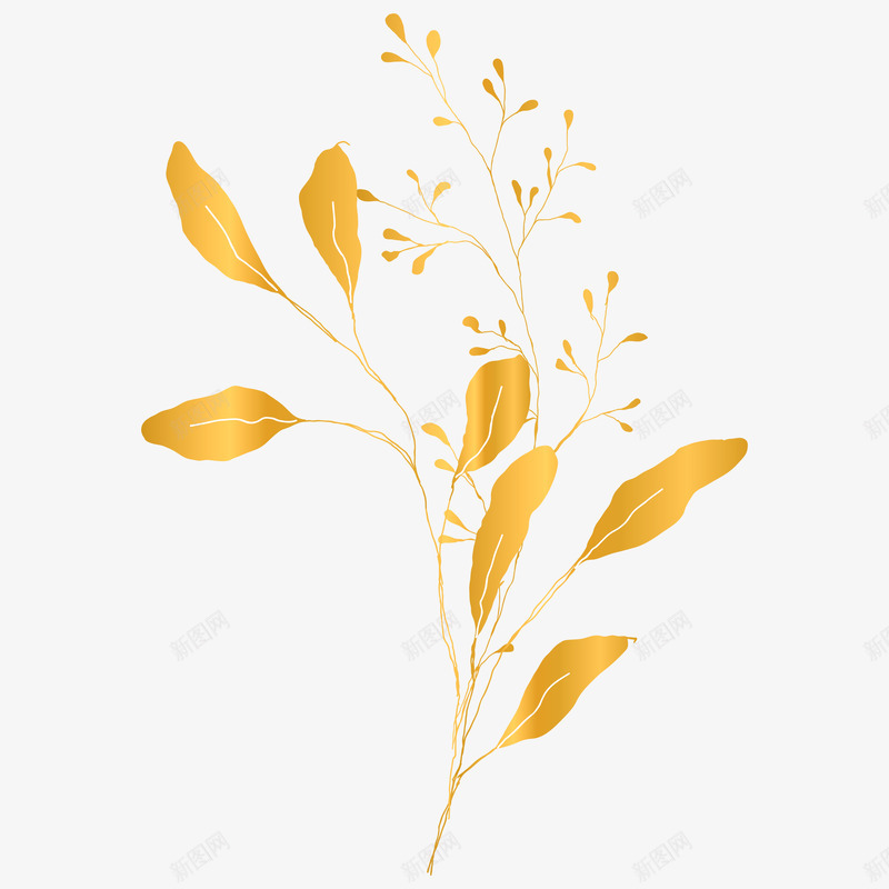 botanical leaves sketched floralsPNG素材阿秋png免抠素材_新图网 https://ixintu.com 素材 阿秋
