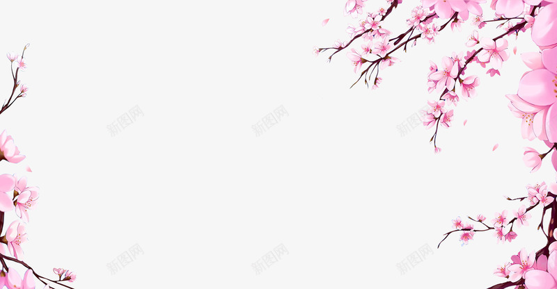 hua2植物素材集中营png免抠素材_新图网 https://ixintu.com 植物 素材 集中营
