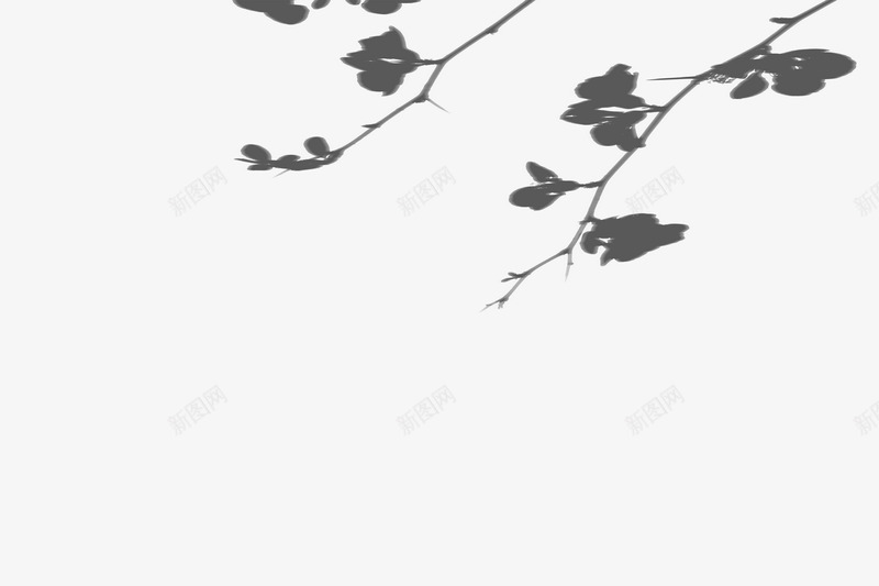 光 影png免抠素材_新图网 https://ixintu.com 光影