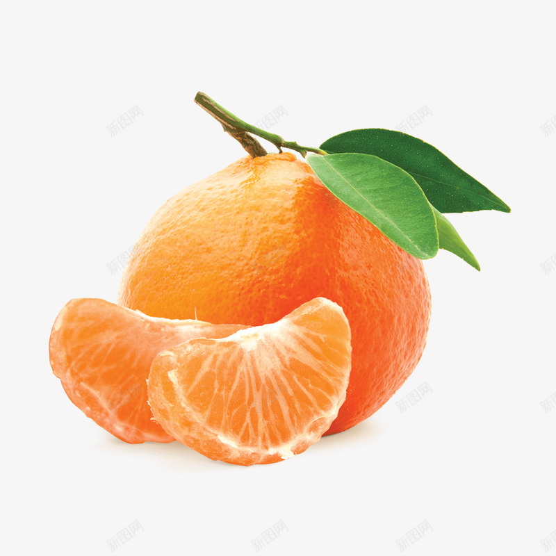 mandarin45植物花卉png免抠素材_新图网 https://ixintu.com 植物 花卉