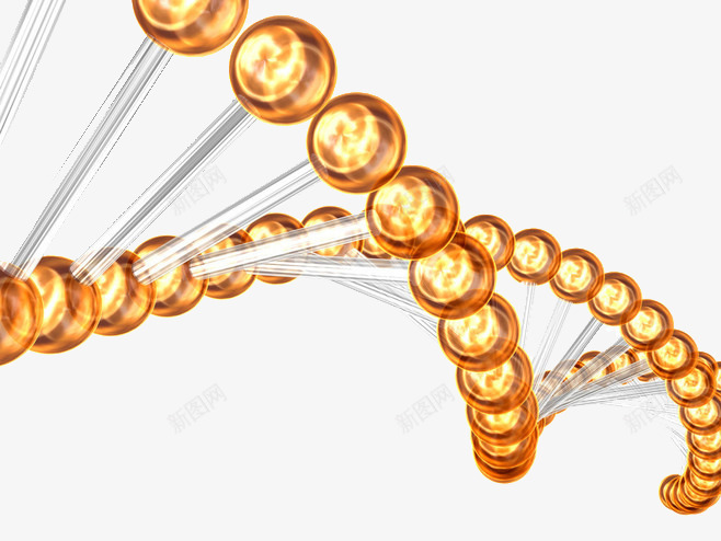 DNADNApng免抠素材_新图网 https://ixintu.com