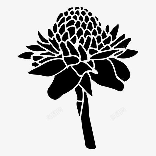云芝盛开开花svg_新图网 https://ixintu.com 芝云 盛开 开花 花花