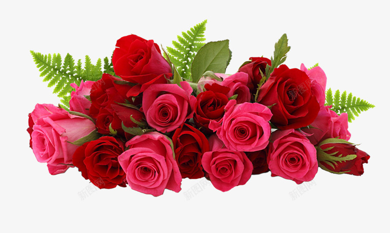 rose67024768460S树叶绿叶花朵png免抠素材_新图网 https://ixintu.com 树叶 绿叶 花朵