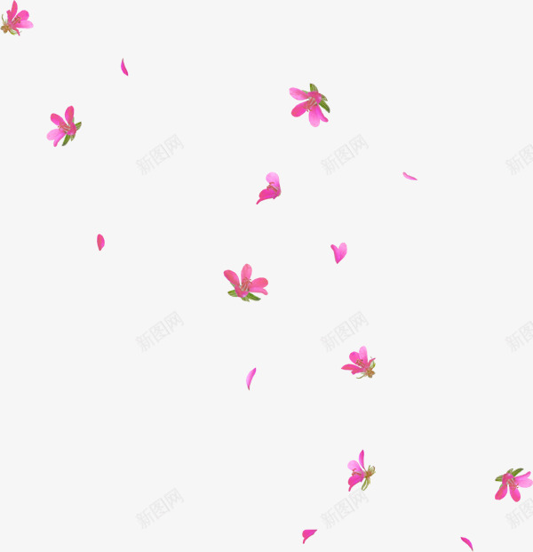 春天花瓣花朵漂浮飘落小清新粉色装饰png免抠素材_新图网 https://ixintu.com 春天 春季 花瓣 花朵 落花 漂浮 飘落 落下 手绘 小清新 粉色 装饰