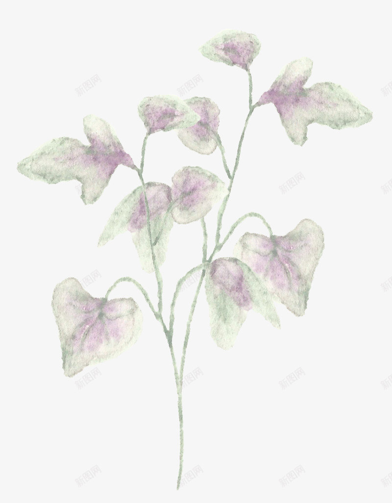 水彩草花春天绿叶png免抠素材_新图网 https://ixintu.com 水彩 草花 春天 绿叶