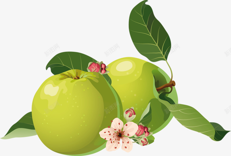 fruits1YakimenkoInna1970水果白底png免抠素材_新图网 https://ixintu.com 水果 白底