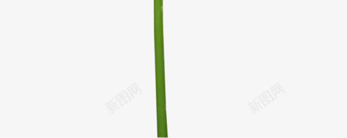 CarenaIntheForest062svetlera花草树木png免抠素材_新图网 https://ixintu.com 花草树木