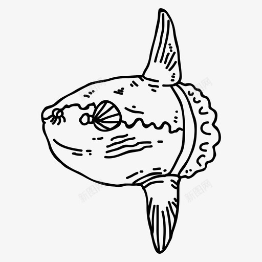 海洋太阳鱼潜水svg_新图网 https://ixintu.com 海洋 太阳 潜水