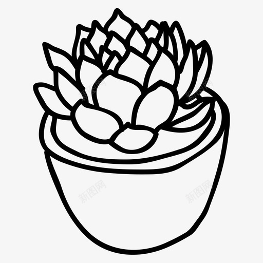 多汁的花园的室内植物的svg_新图网 https://ixintu.com 多汁 花园 室内 植物