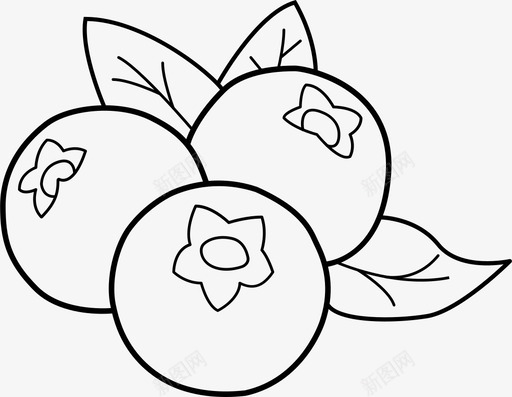 蓝莓食用食物svg_新图网 https://ixintu.com 蓝莓 食用 食物 水果 植物