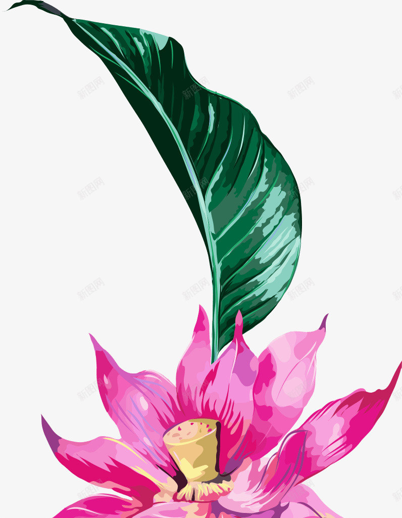 植物叶子树叶嫩叶绿叶装饰扁平植物的3植物鲜花png免抠素材_新图网 https://ixintu.com 叶子 嫩叶 扁平 树叶 植物 绿叶 装饰 鲜花
