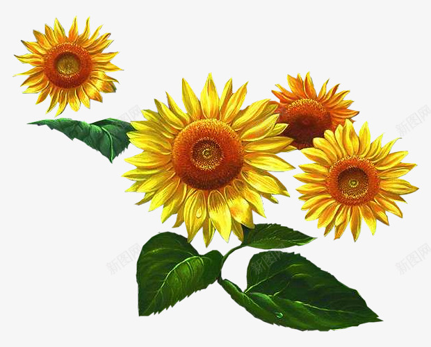 素描水彩治愈系花草树木png免抠素材_新图网 https://ixintu.com 素描 水彩 治愈 花草树木