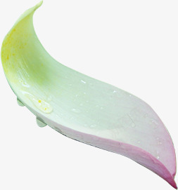 古风免扣小看图楚素颜吧百度贴吧花瓣花朵花枝png免抠素材_新图网 https://ixintu.com 古风 免扣 小看 看图 楚素 颜吧 百度贴吧 花瓣 花朵 花枝
