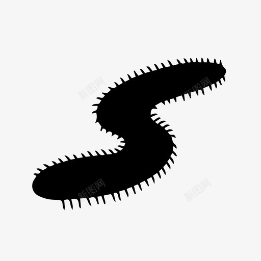 虫子昆虫大自然svg_新图网 https://ixintu.com 虫子 昆虫 大自然