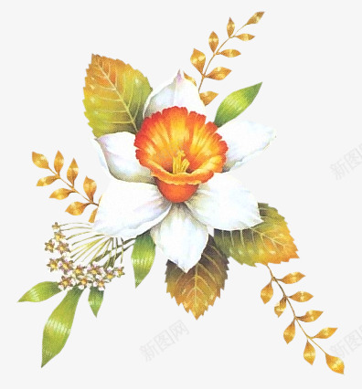 svetlera花瓣花朵花枝png免抠素材_新图网 https://ixintu.com 花瓣 花朵 花枝