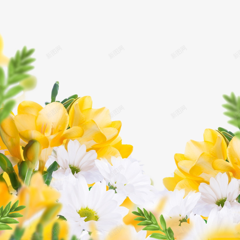 花 7png素材png免抠素材_新图网 https://ixintu.com 素材