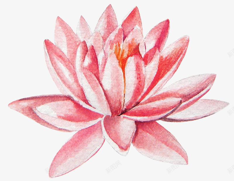 荷花齐盟家具免扣png免抠素材_新图网 https://ixintu.com 荷花 齐盟 家具 免扣