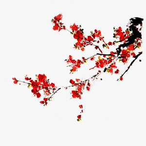 花瓣穗子伞帘梅花猫瓢虫金鱼图彼岸桃花单个png免抠素材_新图网 https://ixintu.com 花瓣 穗子 伞帘 梅花 瓢虫 金鱼 彼岸 桃花 单个