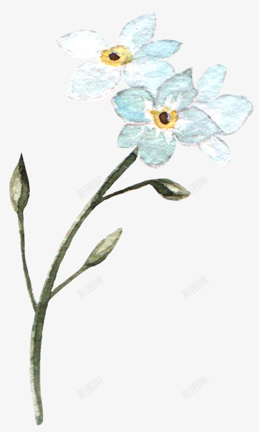 植物齐盟家具免扣png免抠素材_新图网 https://ixintu.com 植物 齐盟 家具 免扣
