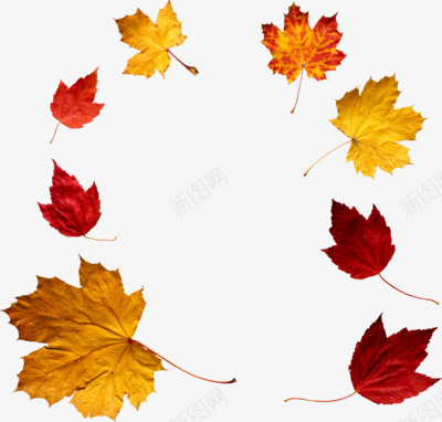 Autumn花草树木png免抠素材_新图网 https://ixintu.com 花草树木