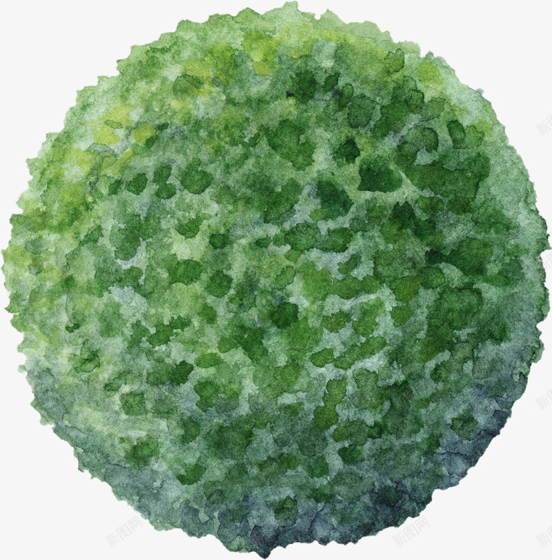 环艺树木植物水彩手绘树木花朵42环艺树木植物png免抠素材_新图网 https://ixintu.com 树木 环艺 植物 水彩 手绘 花朵