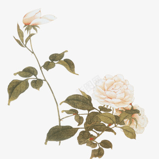 古风免扣丨花花花儿png免抠素材_新图网 https://ixintu.com 古风 免扣 花花 花儿