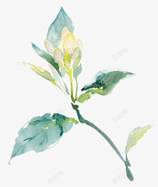 11784765354920c17al免扣植物篇png免抠素材_新图网 https://ixintu.com 免扣 植物