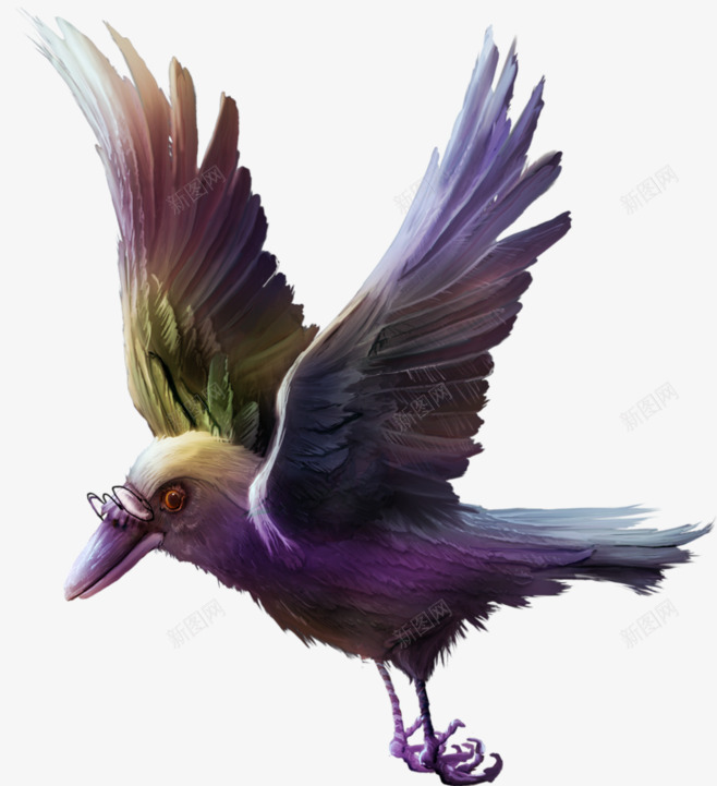 鸟12透明png免抠素材_新图网 https://ixintu.com 透明