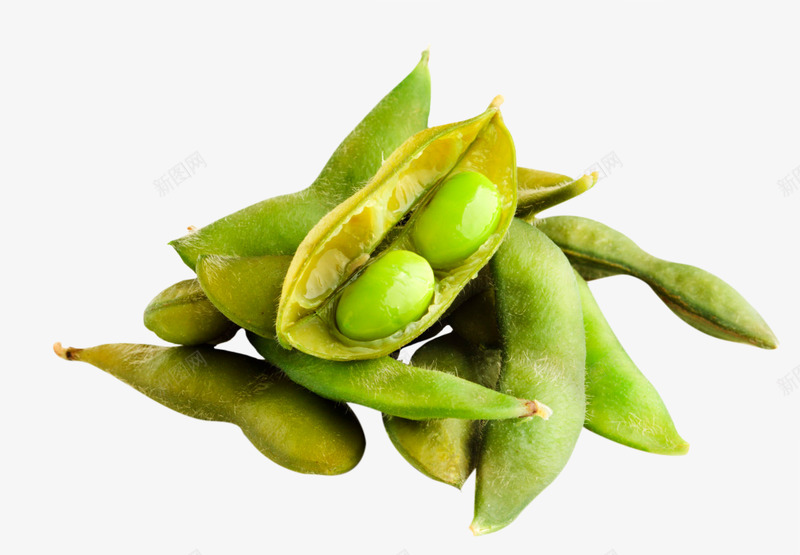 毛豆蔬菜豆制品png免抠素材_新图网 https://ixintu.com 毛豆 蔬菜 豆制品