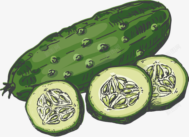 黄瓜蔬菜水果食物png免抠素材_新图网 https://ixintu.com 黄瓜 蔬菜水果 食物