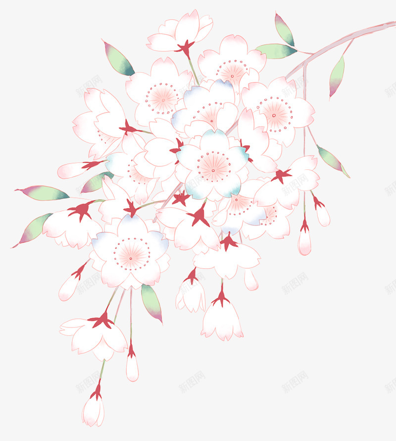 桜其弐21花草树木png免抠素材_新图网 https://ixintu.com 桜其 花草树木