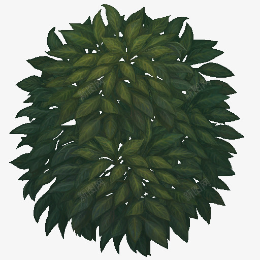 S1JungleSmallTree02TextureP各种物品png免抠素材_新图网 https://ixintu.com 各种 物品