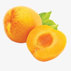 Apricot水果amp坚果大全png免抠素材_新图网 https://ixintu.com 水果 坚果 大全