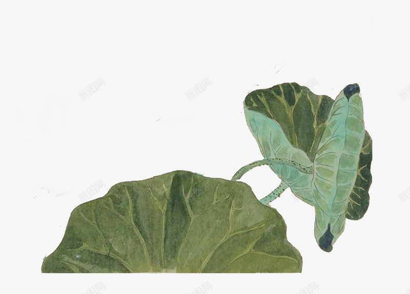 980免扣植物篇png免抠素材_新图网 https://ixintu.com 免扣 植物