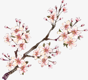 绿植草木花卉11png免抠素材_新图网 https://ixintu.com 绿植 草木 花卉