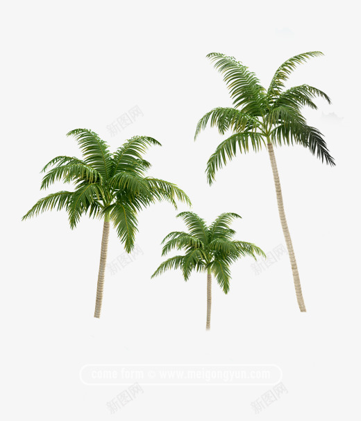 花卉夏季游泳沙滩椰子树花卉植物免扣去底透明水彩奥美Linda花卉免扣要账号看简介png免抠素材_新图网 https://ixintu.com 花卉 透明 账号 免扣 奥美 水彩 夏季 扣去 植物 椰子树 沙滩