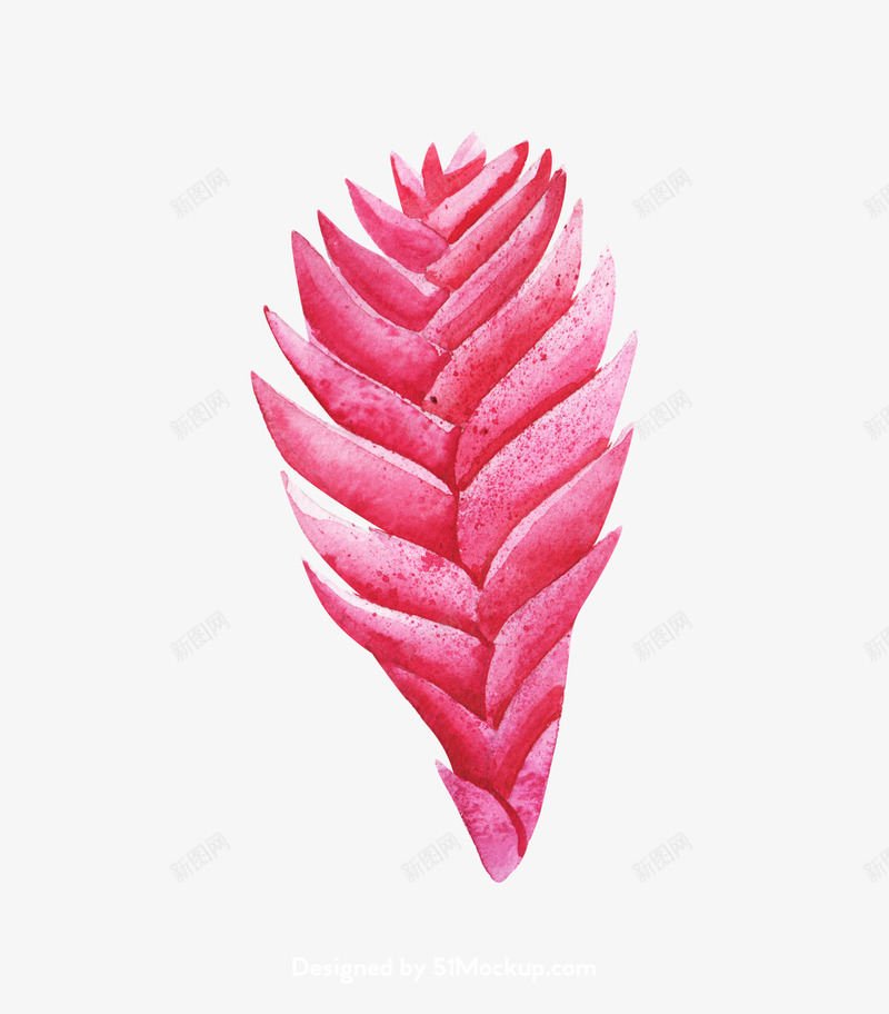 水彩树叶花瓣超免扣插图56花卉植物免扣去底透明水彩奥美Linda花卉免扣要账号看简介png免抠素材_新图网 https://ixintu.com 花卉 水彩 账号 免扣 奥美 透明 扣去 树叶 植物 插图 超免